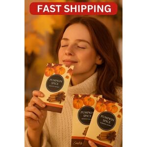Pumpkin Spice Scented Sachets Set of 3 Simplicity‎ Scents Fall Home Fragrance